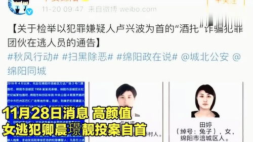 高颜值女通缉犯出狱当主播账号已封